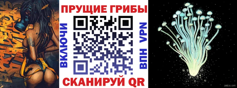закладки  Магнитогорск  маркетплейс как зайти  Псилоцибиновые грибы Psilocybine cubensis 